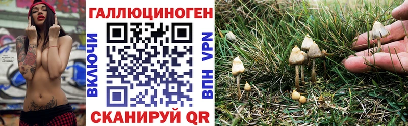 Галлюциногенные грибы GOLDEN TEACHER  Купить закладки  Дно 
